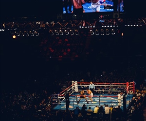 Untold - What we know so far